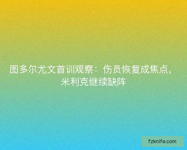 图多尔尤文首训观察：伤员恢复成焦点，米利克继续缺阵
