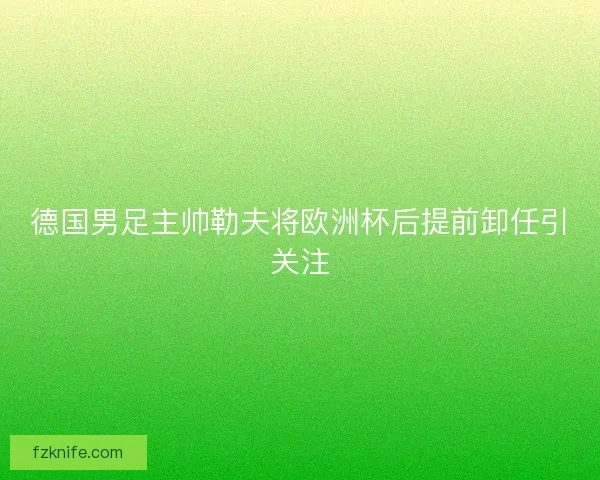 德国男足主帅勒夫将欧洲杯后提前卸任引关注